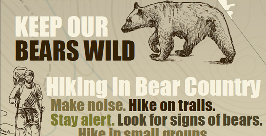 Public Outreach Campaign: Hiking in Bear Country